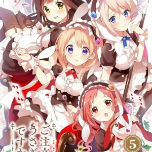 Blu-ray Order a Rabbit Vol 5 Limited Edition Anime Collector's Value