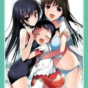 Bushiroad Dengeki Bunko Card Sleeves Black Snow Hime 75 Pack