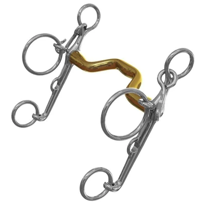 Neue Schule Warmblood Show Pelham - Image 2