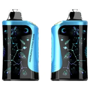 Rodman MVP 65K Ice Control Disposable Vape (5%, 65000 Puffs) - White Peach Raspberry