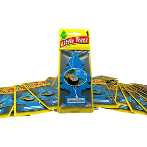 Little Trees Car Fresh 24 Pack
